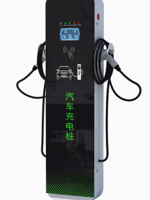 High-Efficiency Commercial 22kw Public Floor-Mounted Single/Dual Gun AC Electric Vehicle EV Charger WEN